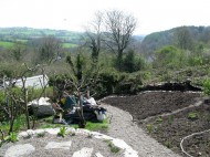 Renovated garden - pre planting