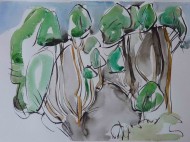 front-trees-ink-and-watercolour-38cm-x-56cm-march-20112