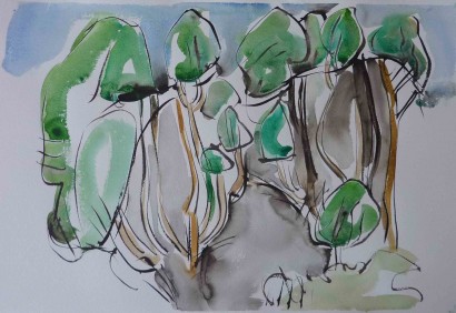 front-trees-ink-and-watercolour-38cm-x-56cm-march-20112