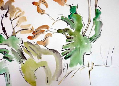 tree-with-ivy-ink-and-watercolour-56cm-x-76cm-march-20112